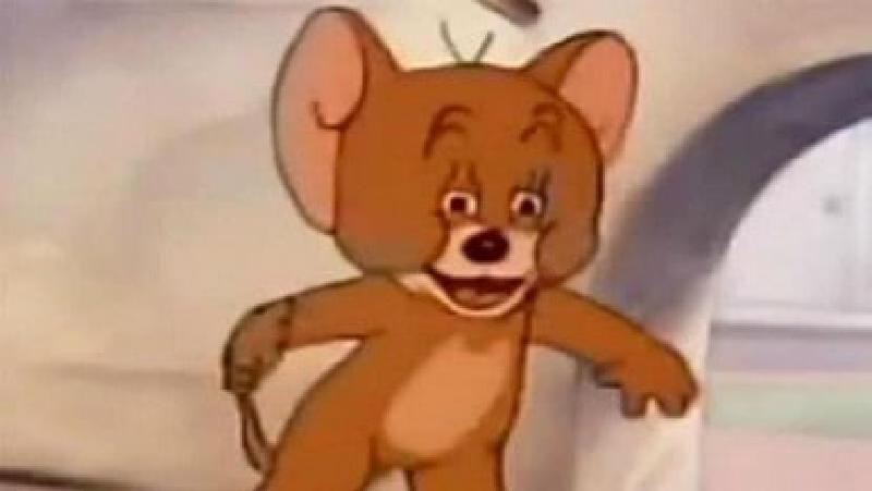 Featured image of post Code Review Guide — 如何Code Review?