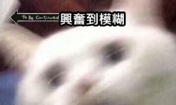 Featured image of post 辦公室開始裝修囉!