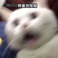 辦公室開始裝修囉!